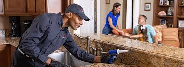 Best Pest Control for Multi-Family Homes  in Three Rivers, TX