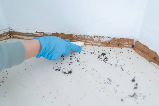 Best Pest Exclusion Services  in Three Rivers, TX